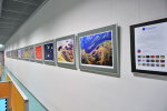 GEO ART Ausstellung bei der Lufthansa